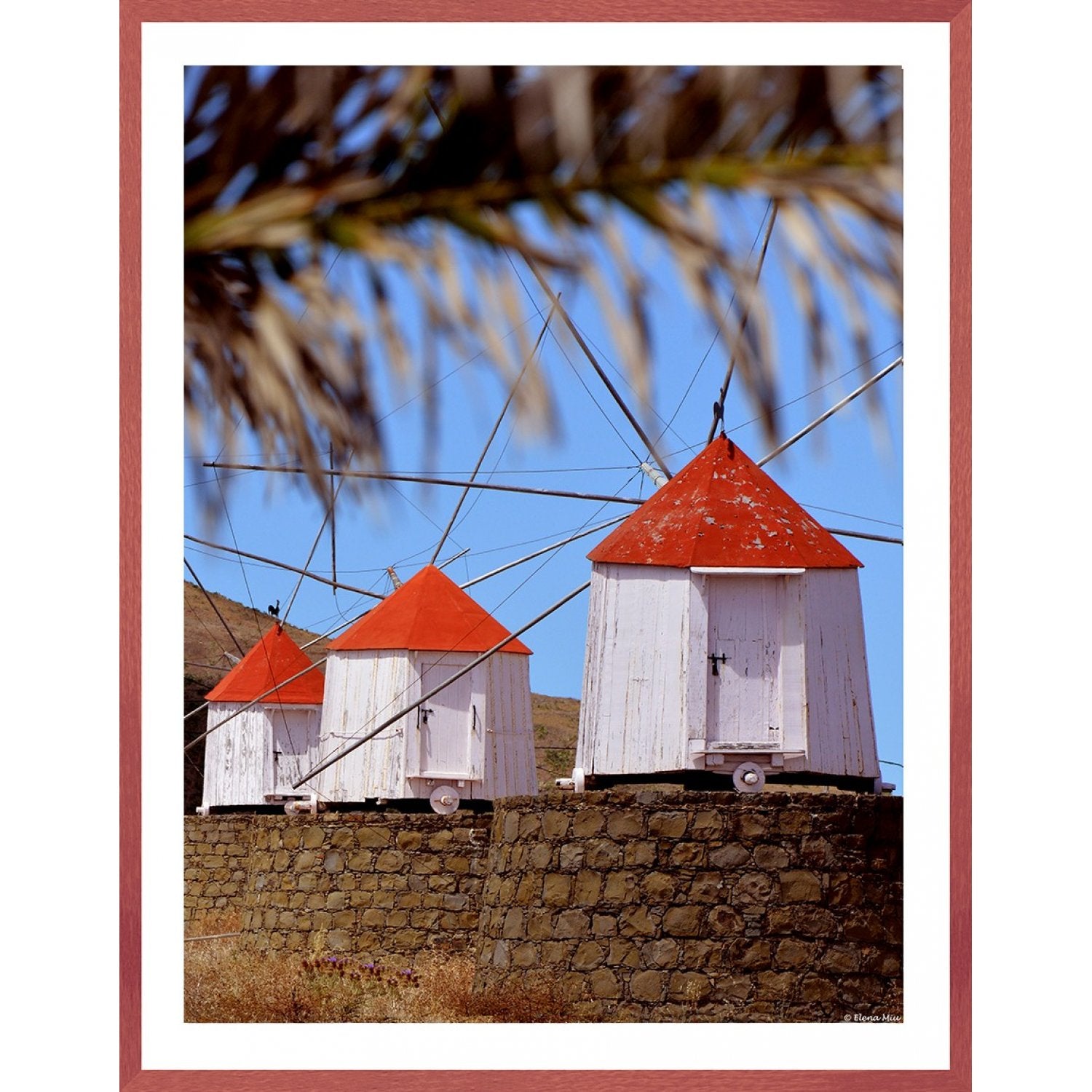 Mori de vant Porto Santo Madeira